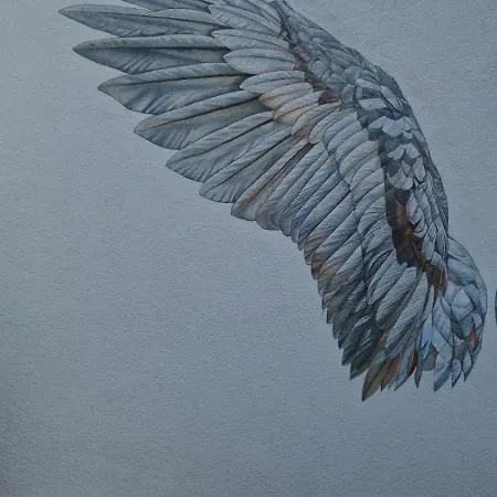 Auxbrg - 4 Zimmer, Xl Wasserbett, 65 Zoll Tv, Xl Terrasse